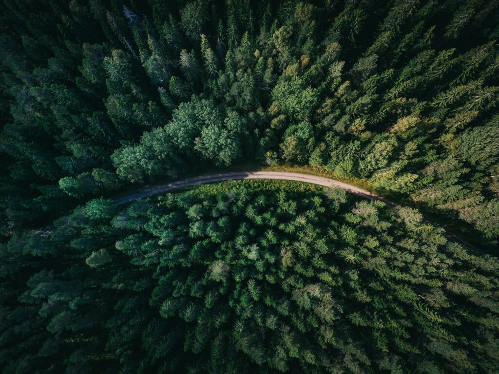 Waldweg zwischen grünen Bäumen bei Gävle, Schweden