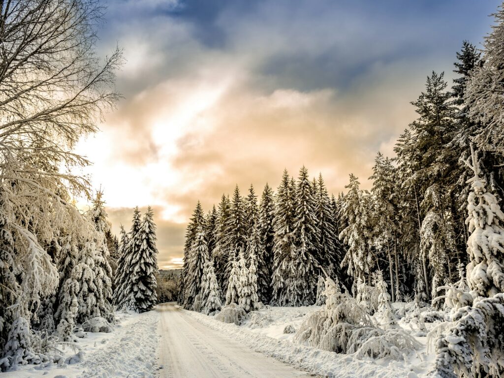 Strömsundsbroen: strandet sværtransport fjernet fra E45 efter 16 dage – broen forbliver spærret 1 Straße zwischen schneebedeckten Bäumen bei Hagfors in Värmland
