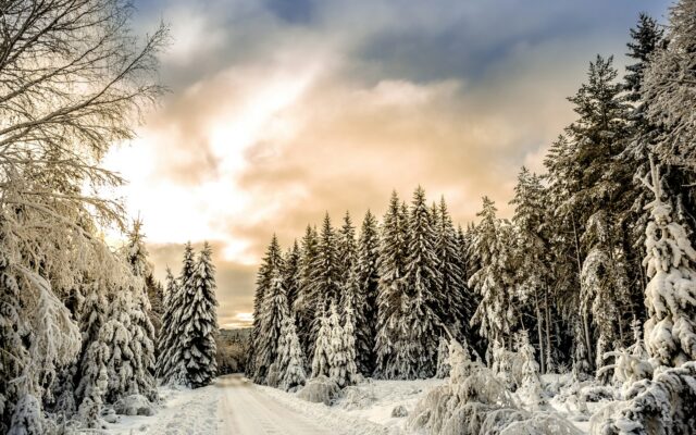 Straße zwischen schneebedeckten Bäumen bei Hagfors in Värmland