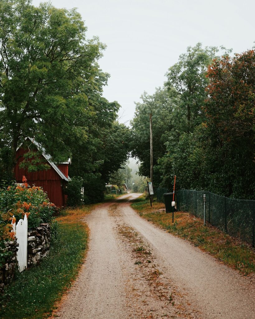 Grasbewachsener Weg mit Häusern und Bäumen im Sommer auf Öland