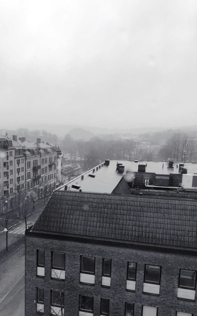 Graue Stadtansicht von Borås mit Hochhäusern und Turm im Nebel