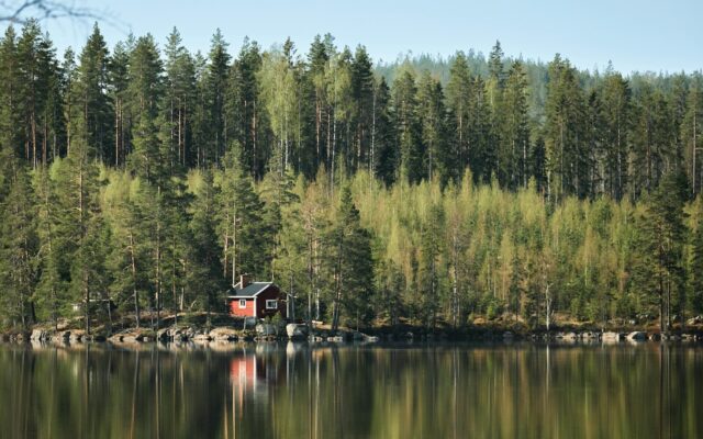 Hütte an einem See, umgeben von Birken und Kiefern in Dalarna, Schweden