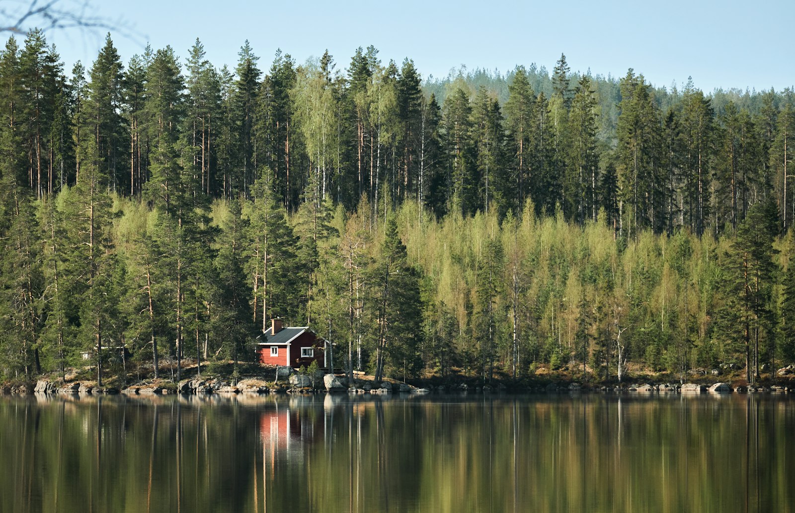 Dalarna: Siljan, Dalahesten og midsommer 1 Hytte ved en sø omgivet af birketræer og fyrretræer i Dalarna, Sverige