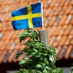 Schwedische Flagge auf der Spitze einer Midsommarstange auf Öland