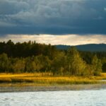 Goldene Wiese an einem ruhigen See unter dramatischem Himmel bei Hede