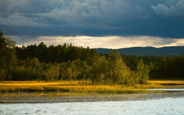 Goldene Wiese an einem ruhigen See unter dramatischem Himmel bei Hede