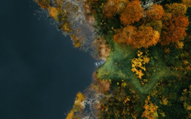 Luftaufnahme eines herbstlichen Waldes am See