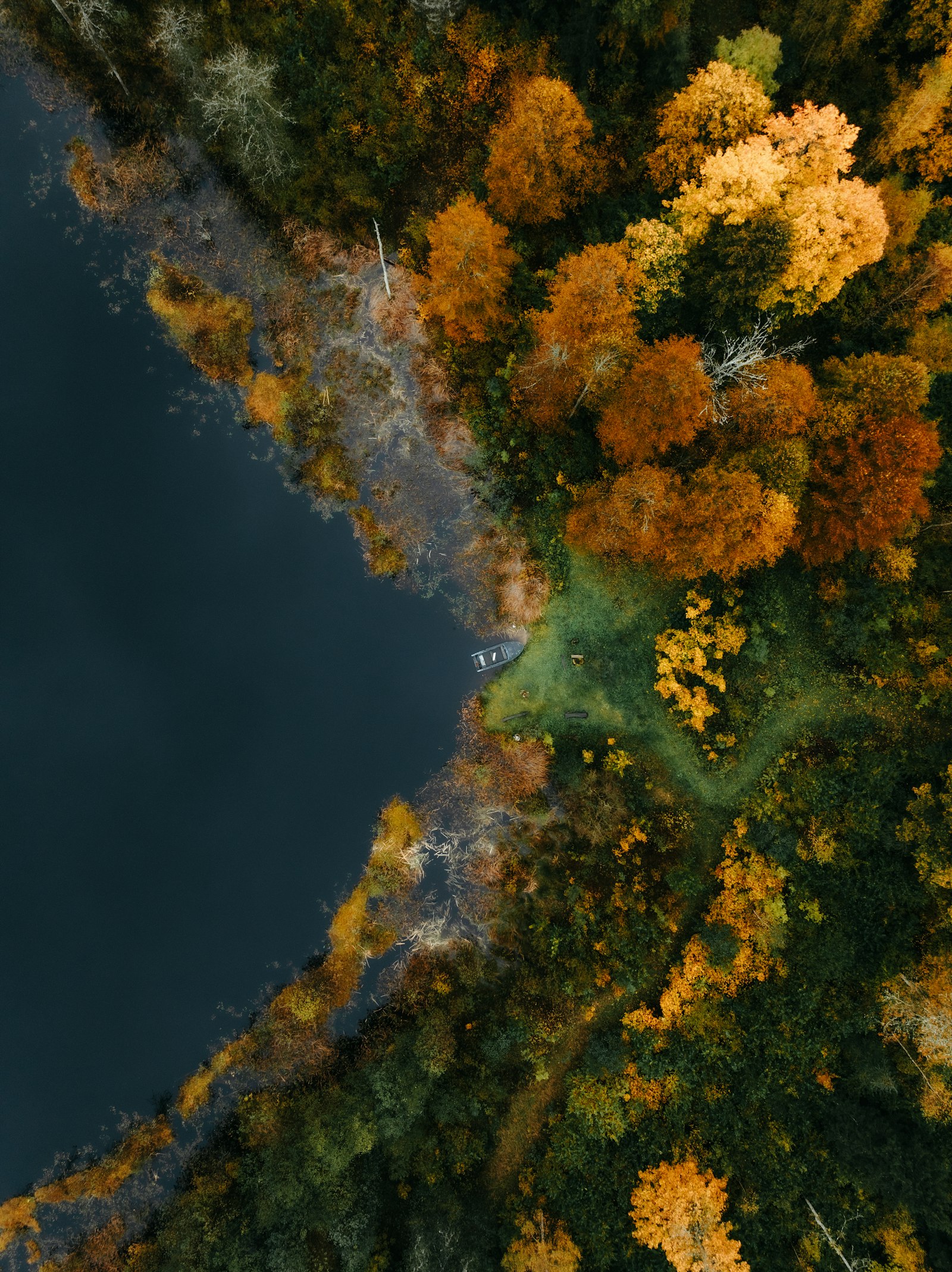 Aerial view of an autumn forest by a lake
