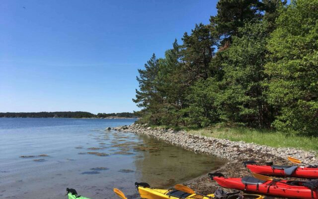Kajaks am sonnigen, baumbestandenen Ufer im Stockholmer Schärengarten