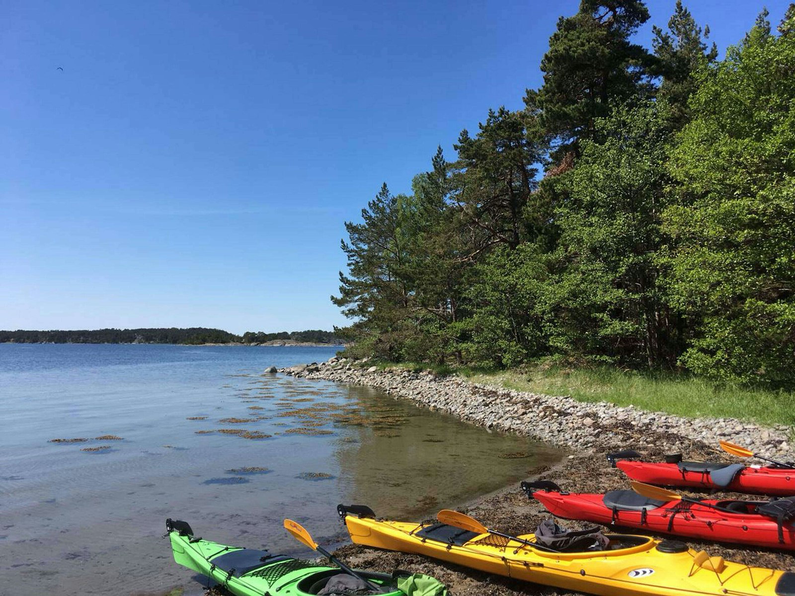 Kayaks on a sunny, tree-lined shore in the Stockholm Archipelago